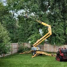 Grass Overseeding